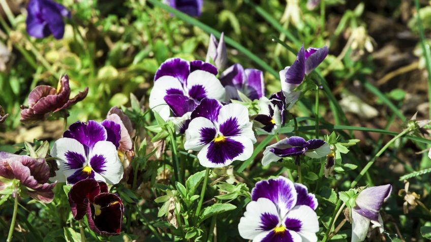 Tendencias Tendencias