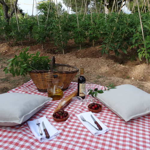 San Valentin San Valentin