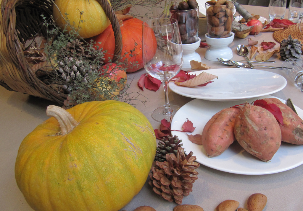 CELEBRA TODO LO QUE SUEÑES CON DASLER