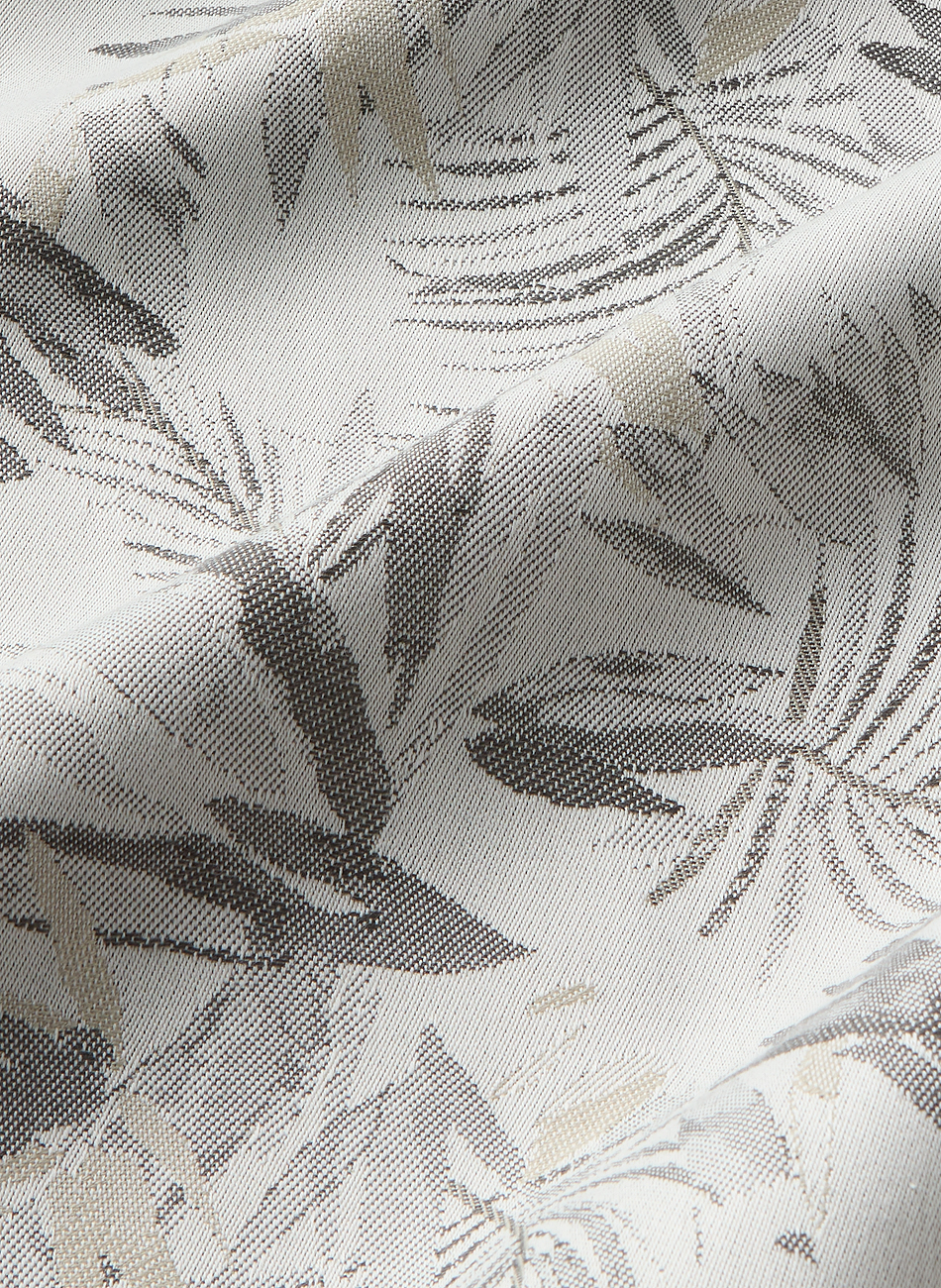 Tropic gris