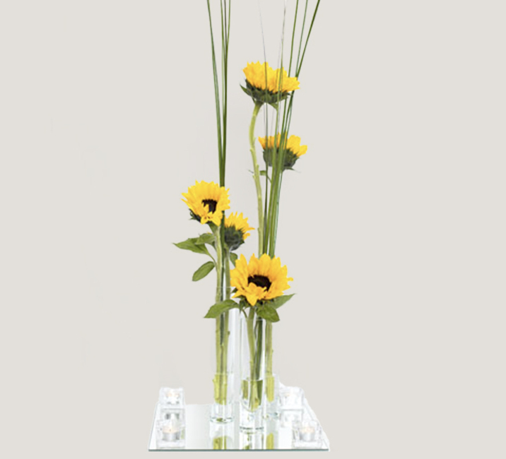 Girasol