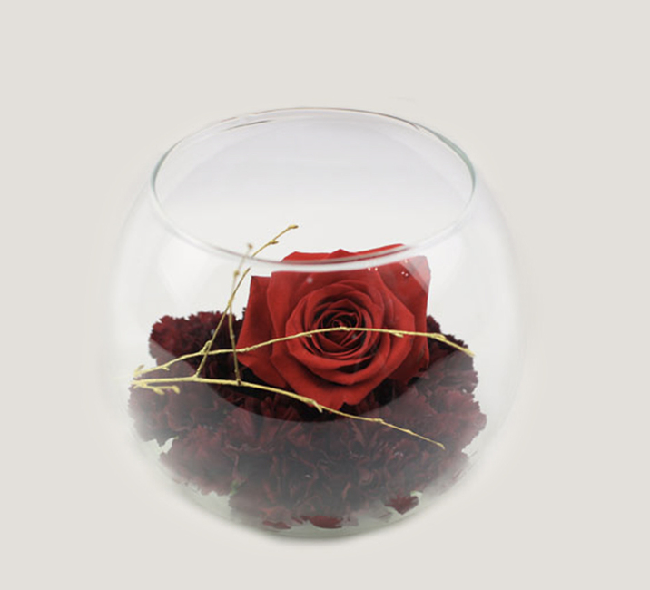 Sofis rose