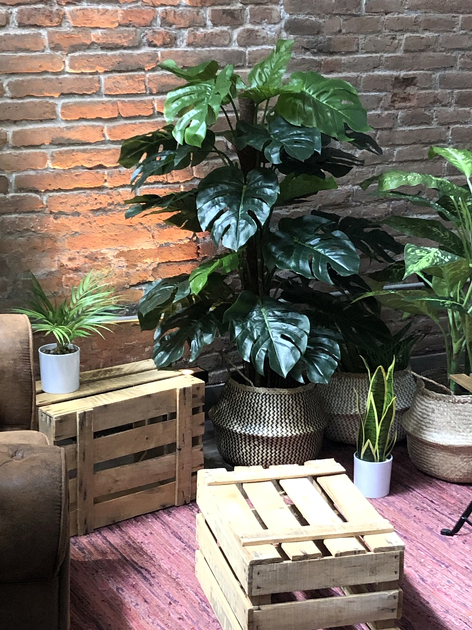 Plantas artificiales