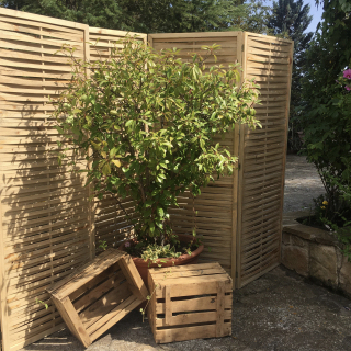 Separadores y otros artículos