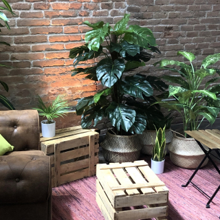 Plantas artificiales